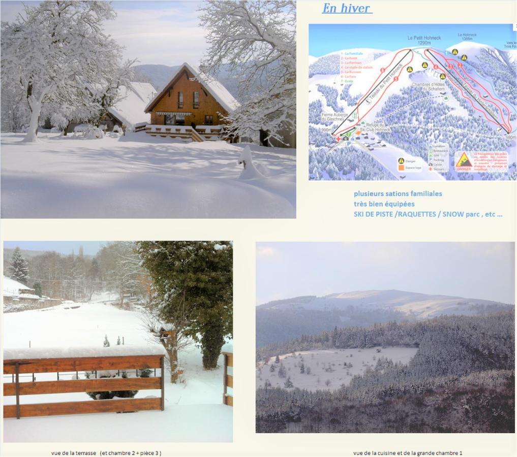 Chalet La Grange De Madi Muhlbach-sur-Munster Екстериор снимка